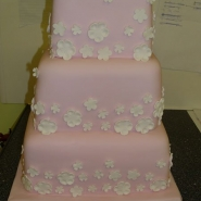 picture_235.jpg