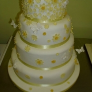 picture_250.jpg